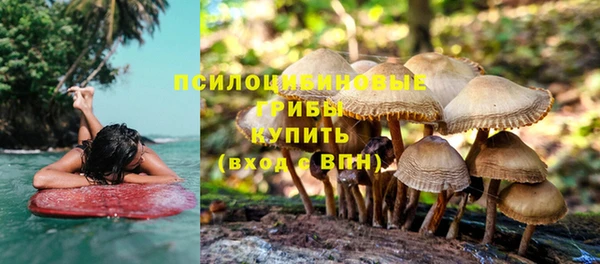 прущая мука Алексин