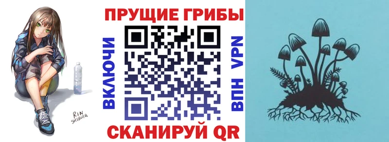 Галлюциногенные грибы ЛСД  купить закладку  Кириши 
